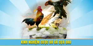 Kinh nghiệm cược đá gà cựa dao