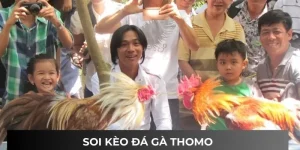 Soi Kèo Đá Gà Thomo