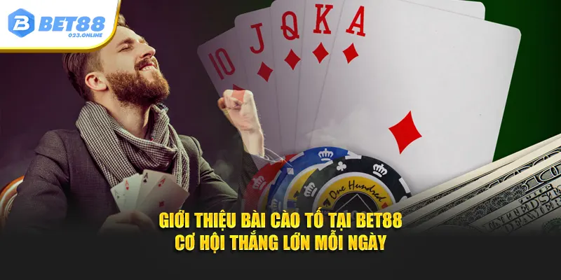 Giới thiệu bài cào tố tại BET88 – Cơ hội thắng lớn mỗi ngày